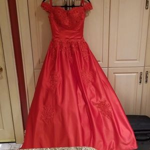 Elegant Ball Gown Quincenera/Prom/Sweet 16- Size 4